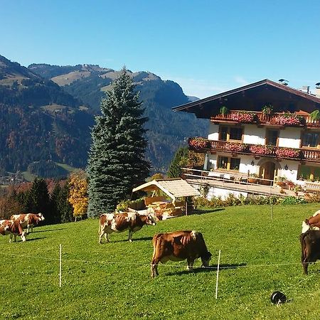 Hof Hamoos Apartamento Kitzbühel Exterior foto
