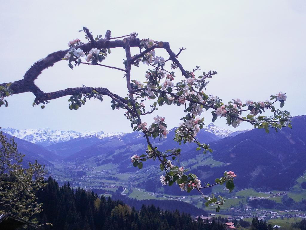 Hof Hamoos Apartamento Kitzbühel Exterior foto