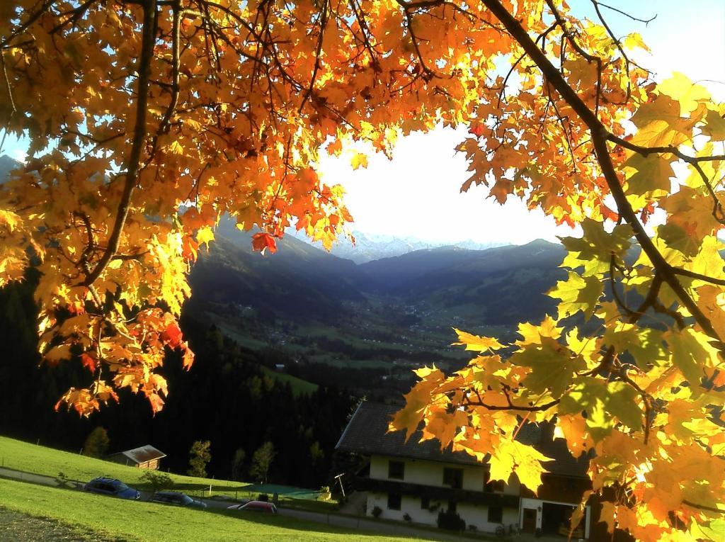 Hof Hamoos Apartamento Kitzbühel Exterior foto