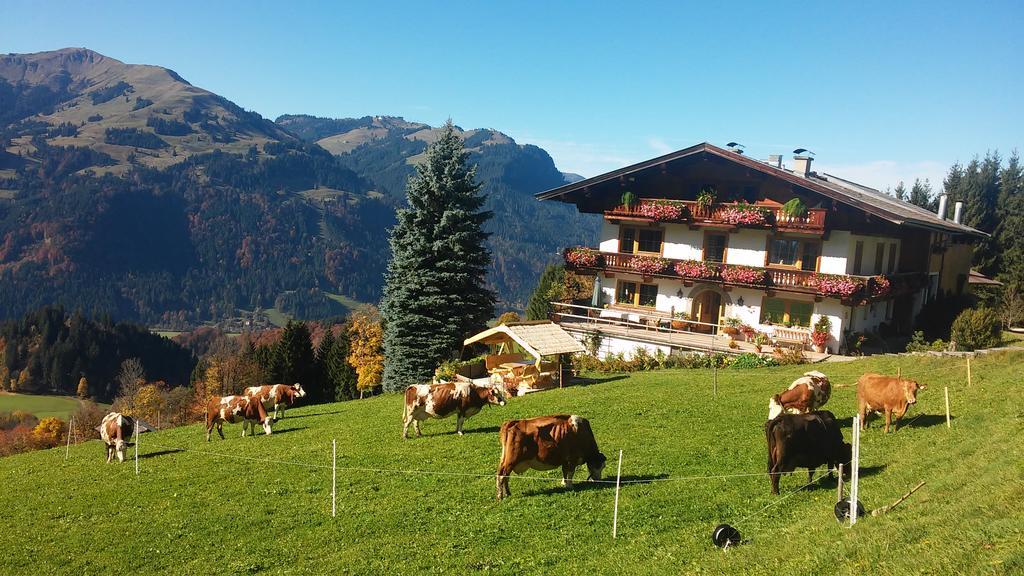 Hof Hamoos Apartamento Kitzbühel Exterior foto